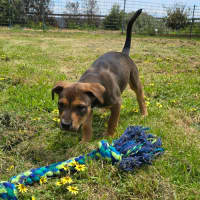 Photo of Princess Bubblegum