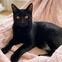 Photo of Olga