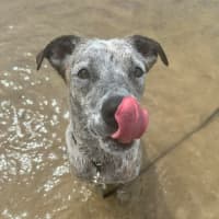 Photo of Blue