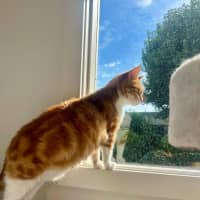 Photo of Mia