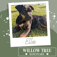 Photo of Ellie