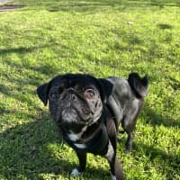 Photo of Bella