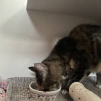 Photo of Alice