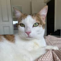 Photo of Marlee