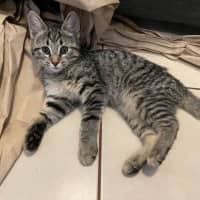 Photo of Diego