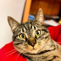 Photo of Reetee