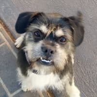 Photo of Murphy