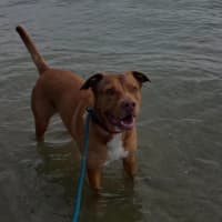 Photo of Monty