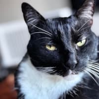 Photo of Jesse 
