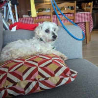 Photo of Simon Babbington