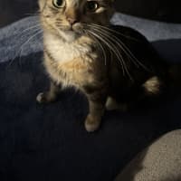 Photo of Samara Mae 