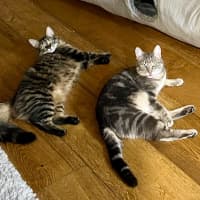 Photo of Lexi & Cara