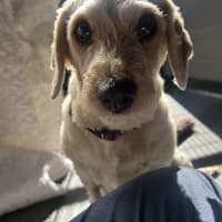 Photo of Wanda