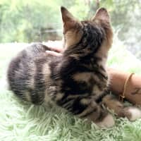 Photo of 🩷Juliet 🩷