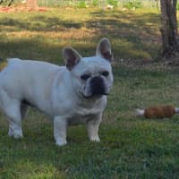 Photo of Lacie
