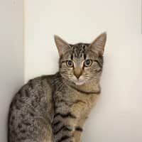 Photo of Little Miss Sunshine