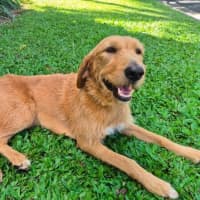 Photo of Daisy