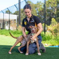 Photo of Ace Imp 2669