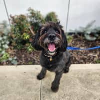 Photo of Maggie