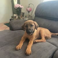 Photo of Cruise