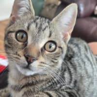 Photo of Tina