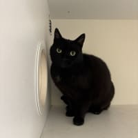 Photo of Margot