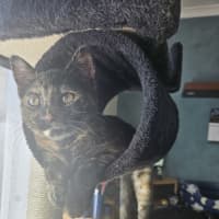 Photo of Jane (Now Maggie)