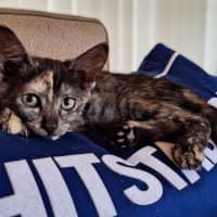 Photo of Betty
