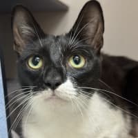 Photo of Dora