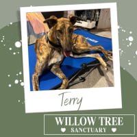 Photo of Terry