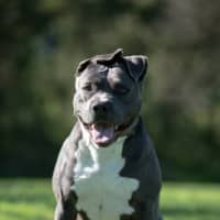 Photo of Ghost