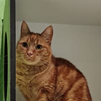 Photo of Artie