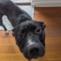 Photo of Zeus