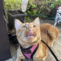 Photo of Dutchess