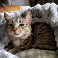 Photo of Nickolas 