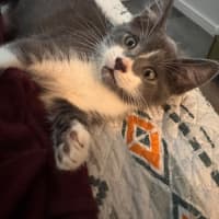 Photo of Kenny