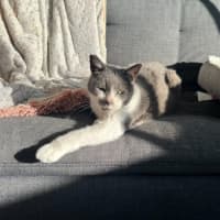 Photo of Billy