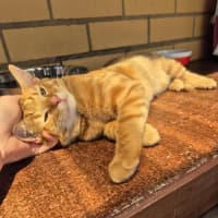 Photo of Monkey! 🦧 