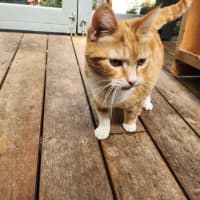 Photo of Mia