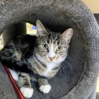 Photo of Bootsie Malone