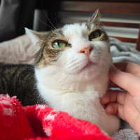 Photo of Molly / Milly