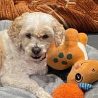 Photo of Bella Wensleydale