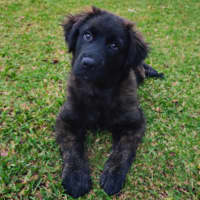 Photo of Mercy