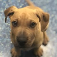 Photo of Holly
