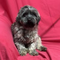 Photo of Rivera (Aka Jimmy)