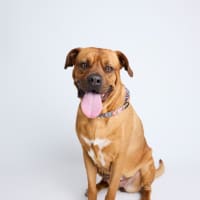 Photo of Zuri