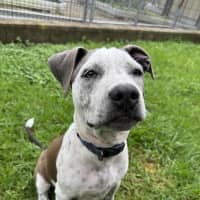 Photo of Addie