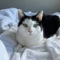 Photo of Winnie
