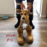 Photo of Sawyer