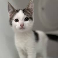 Photo of Biff